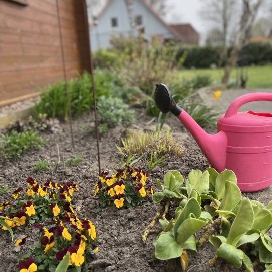 Beim Frühjahrsputz auch an den Gartenwasserzähler denken! 