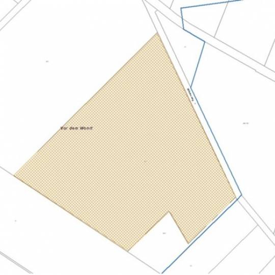 Verpachtung einer landwirtschaftlichen Fläche in Westeresch zur Größe von ca. 12,55 ha