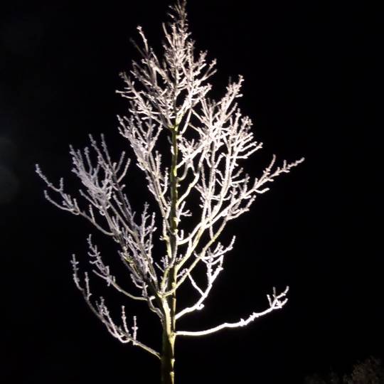 Erweiterung der Straßenbeleuchtungszeiten